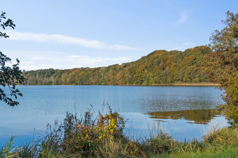 Property image number 4