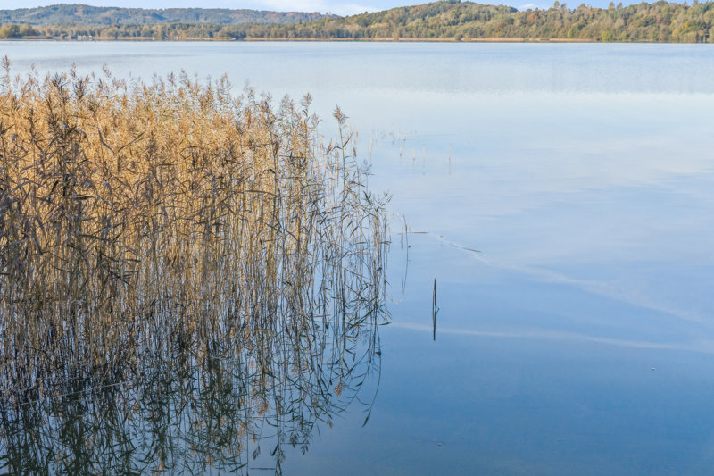 Property image number 5