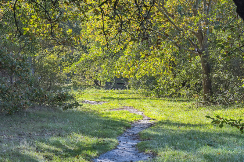 Property image number 6