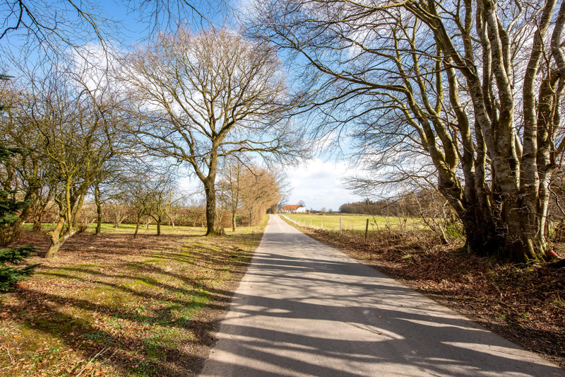 Property image number 6