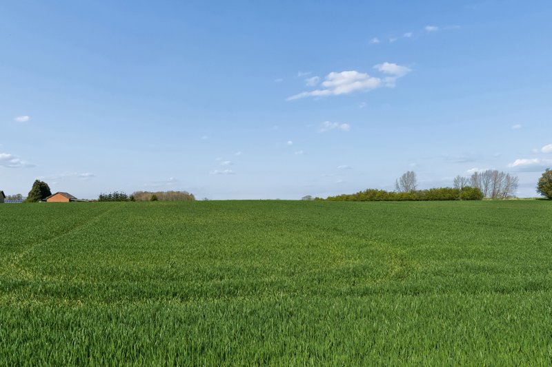 Property image number 3