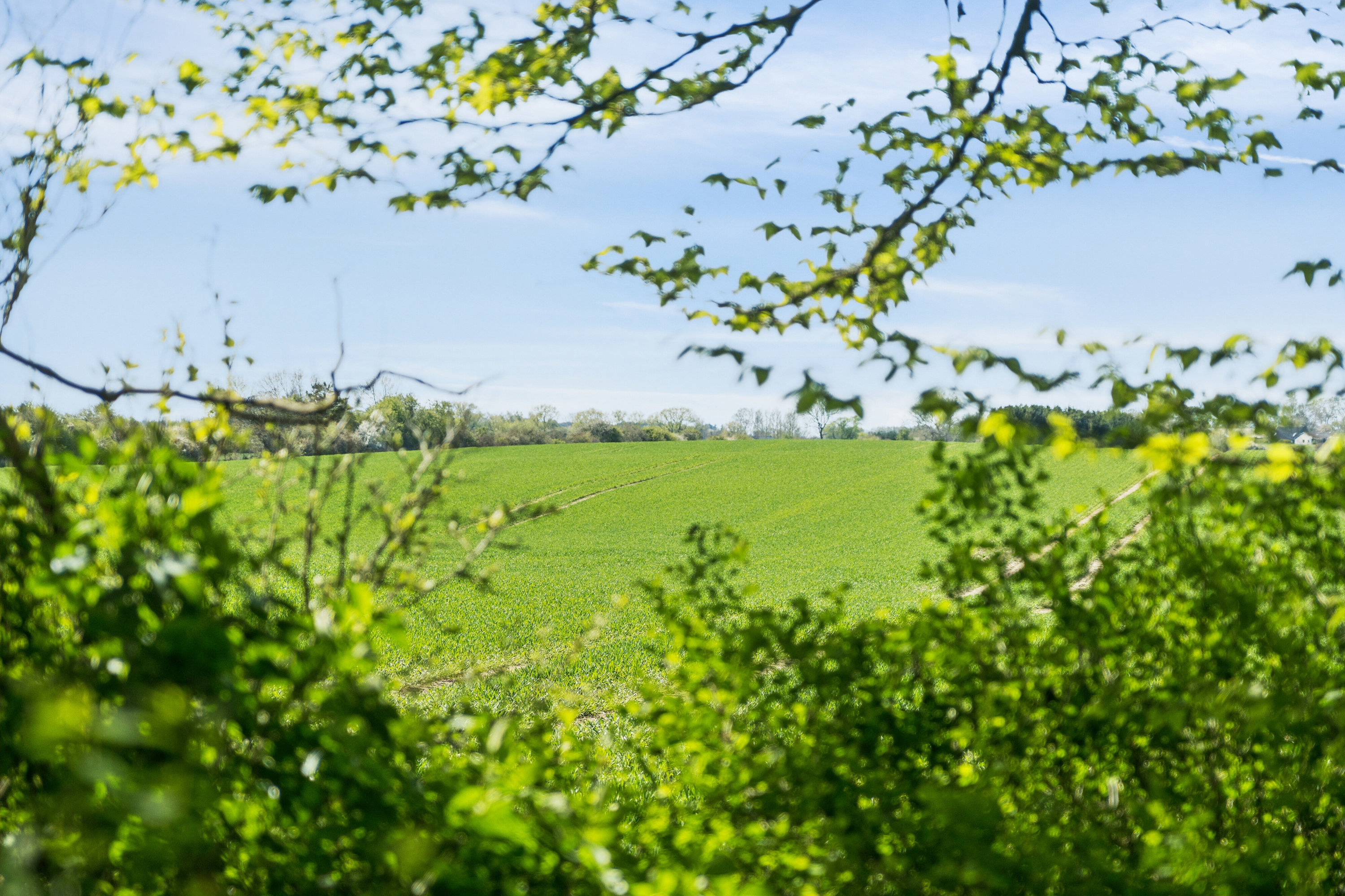 Villa på Jenstrupvej 60 4700 Næstved.