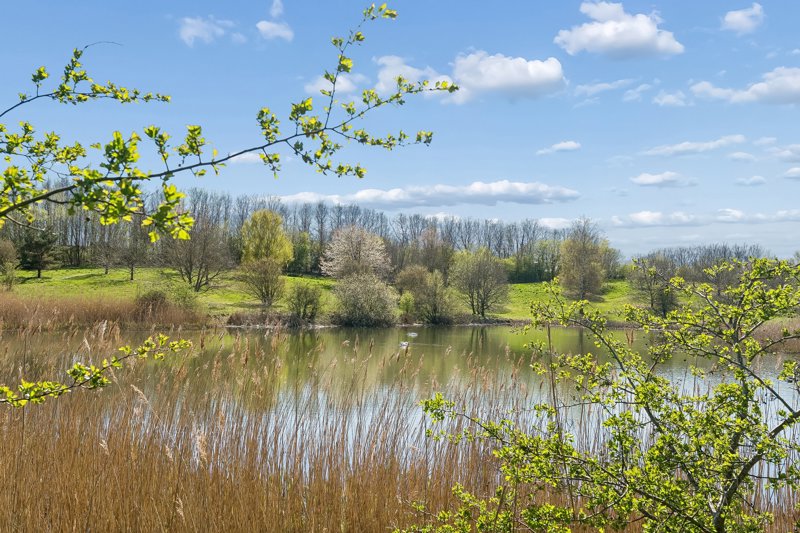 Property image number 1