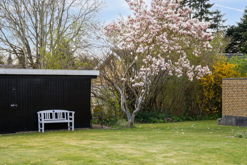 Property image number 5