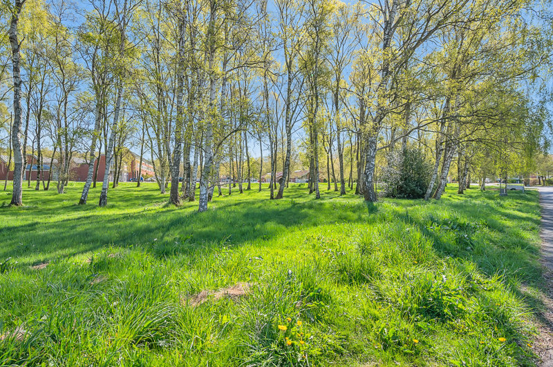 Property image number 3