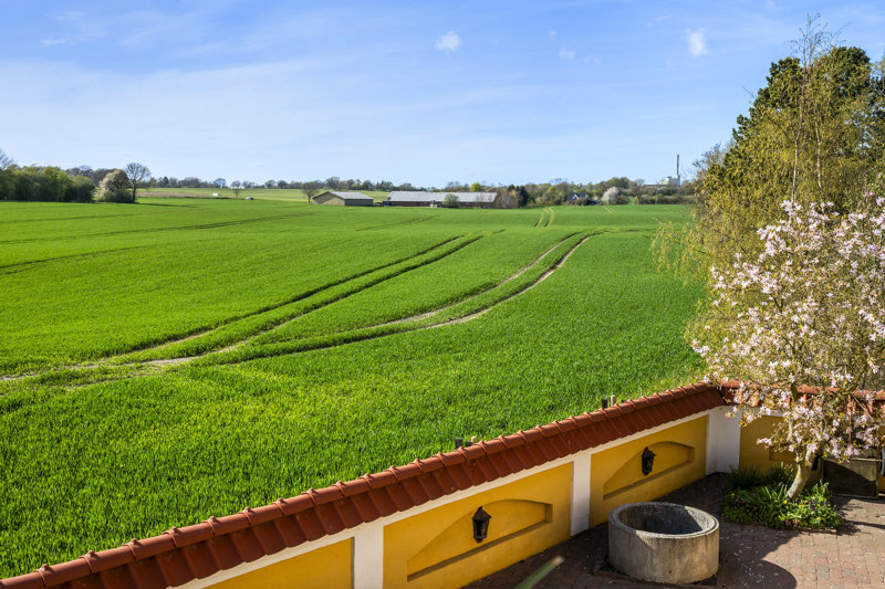 Property image number 3
