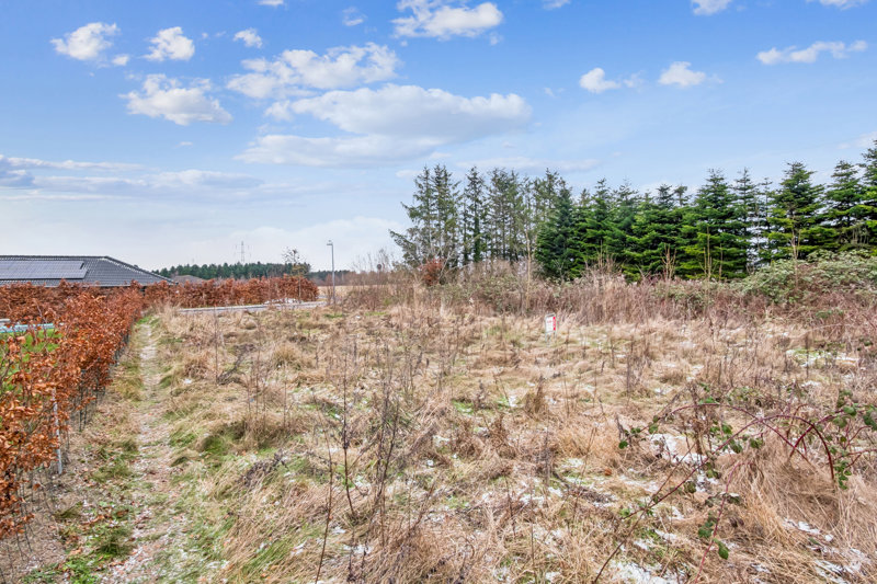 Property image number 8