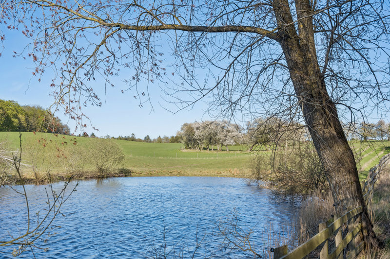 Property image number 5