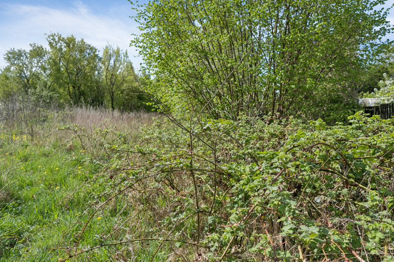 Property image number 4