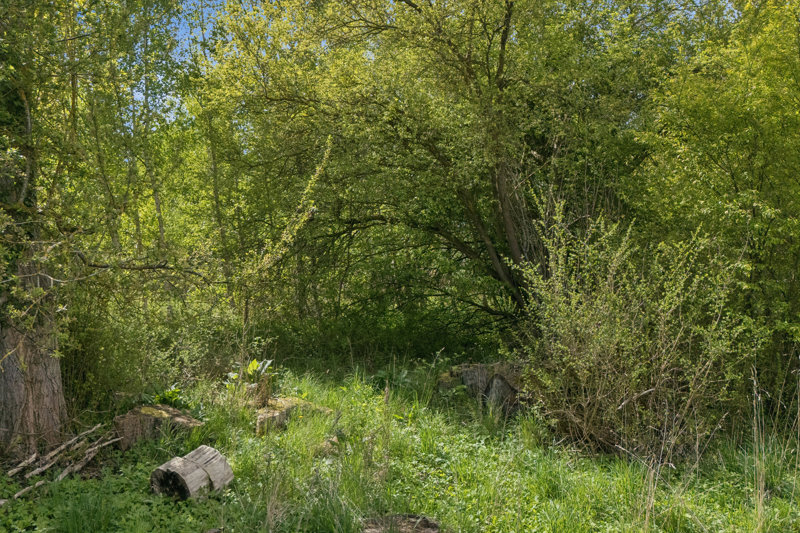 Property image number 6
