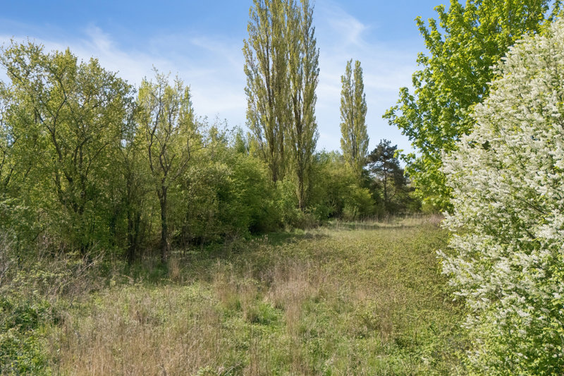 Property image number 3