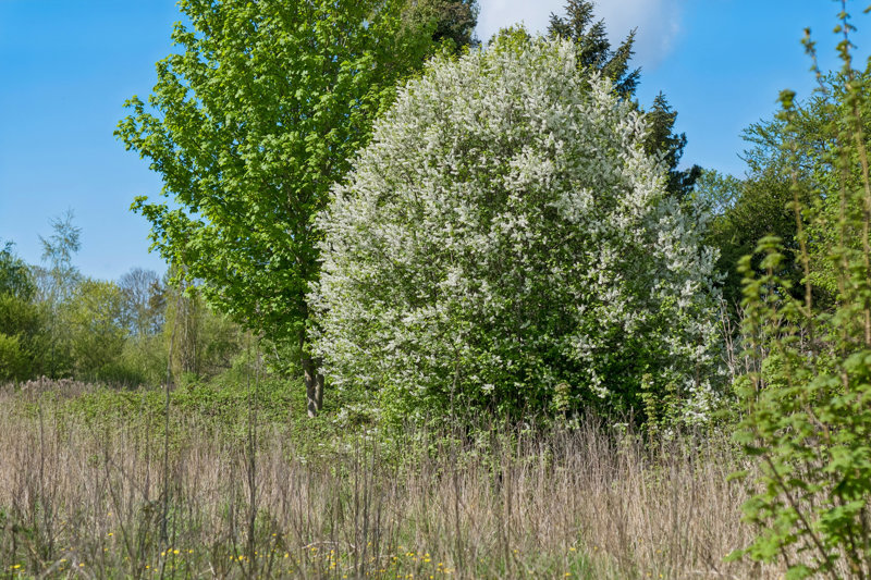 Property image number 5