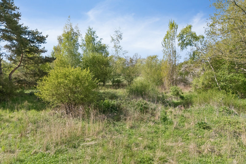 Property image number 7