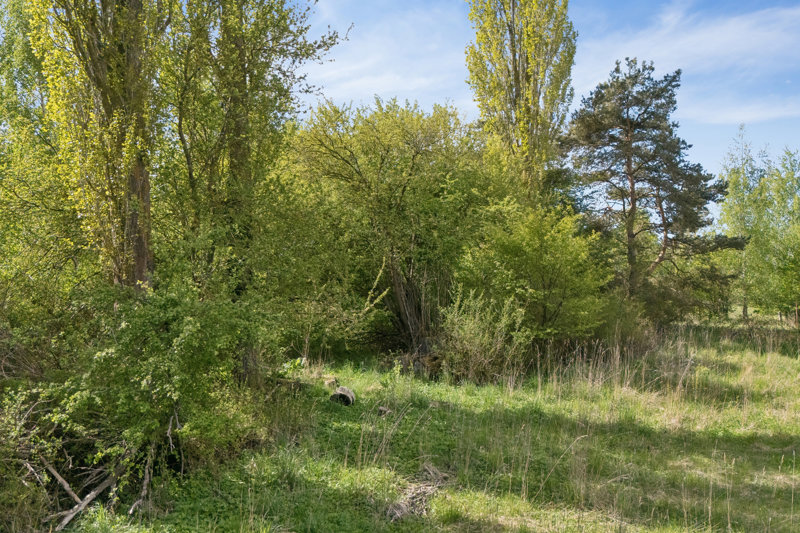 Property image number 8