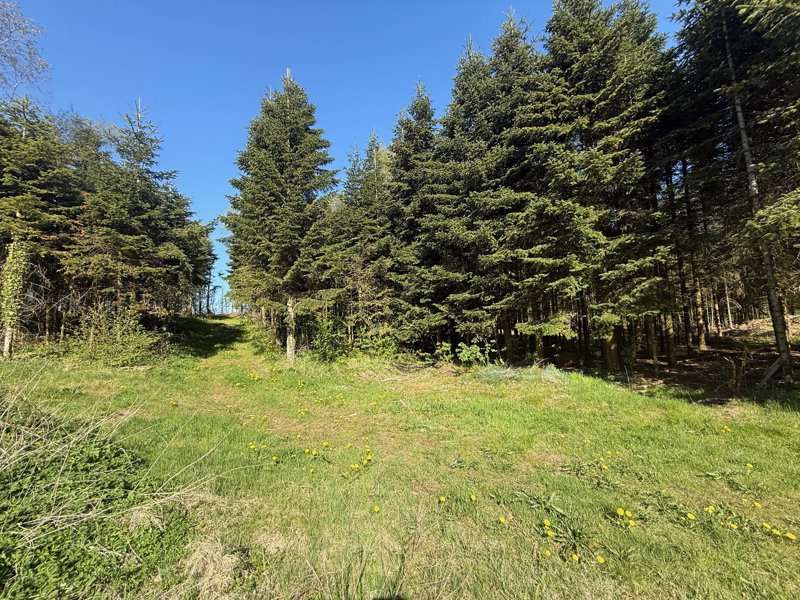 Property image number 3