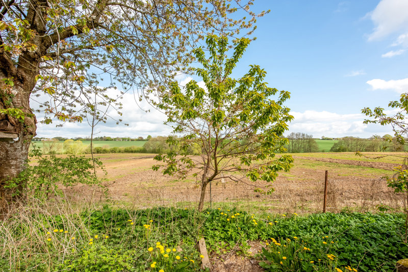 Property image number 3