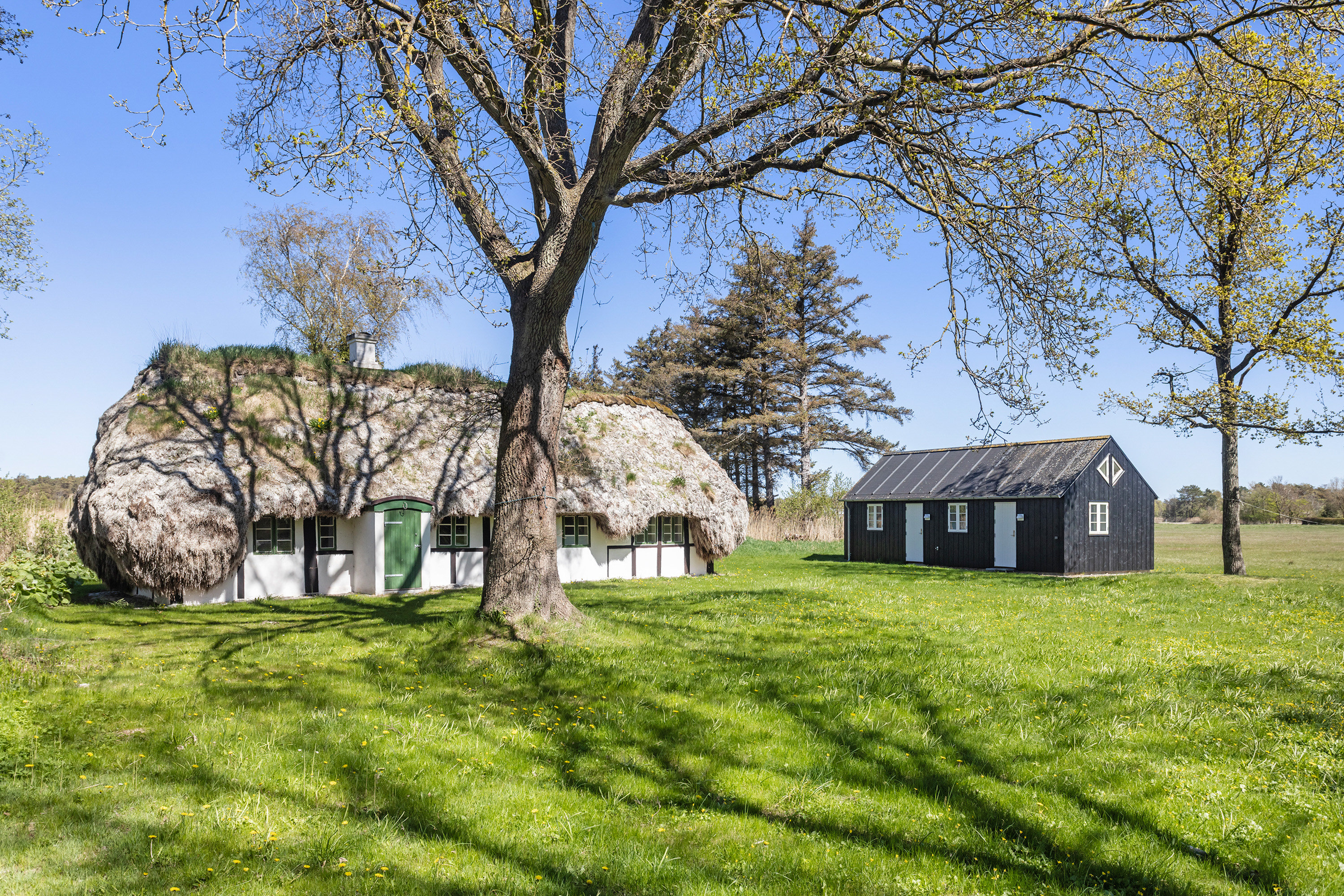 Fritidshus på Alleen 5 9940 Læsø.