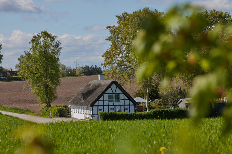 Property image number 4