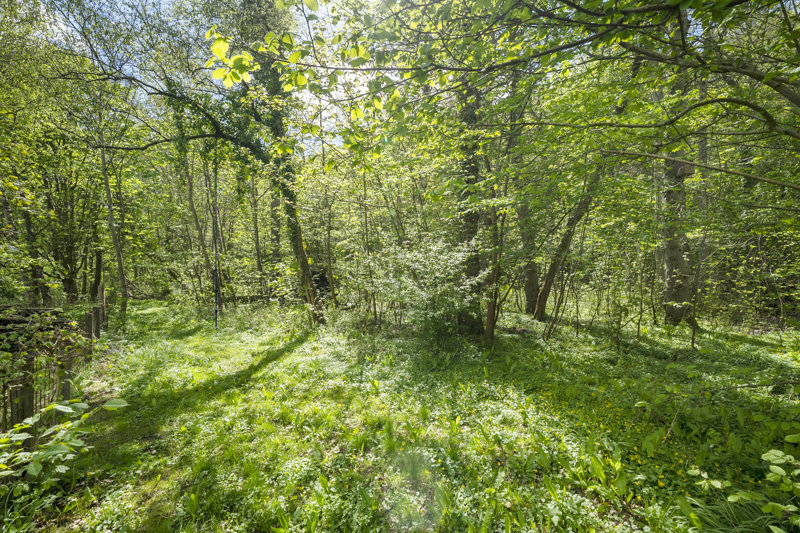 Property image number 7