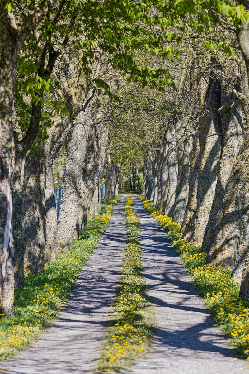 Property image number 2