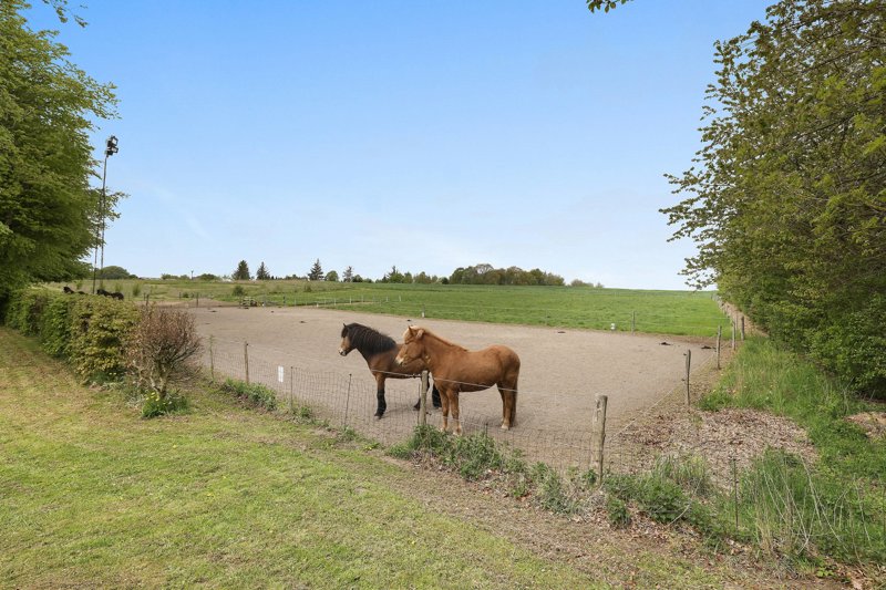 Property image number 3