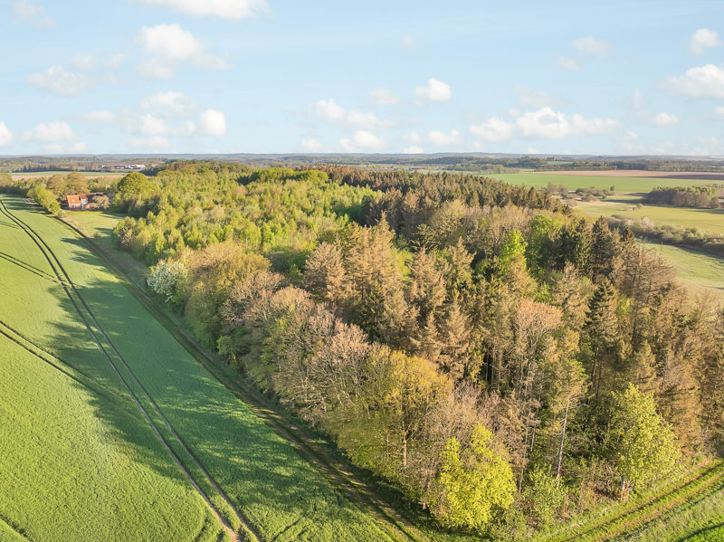 Property image number 4