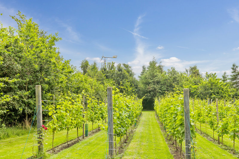 Property image number 5