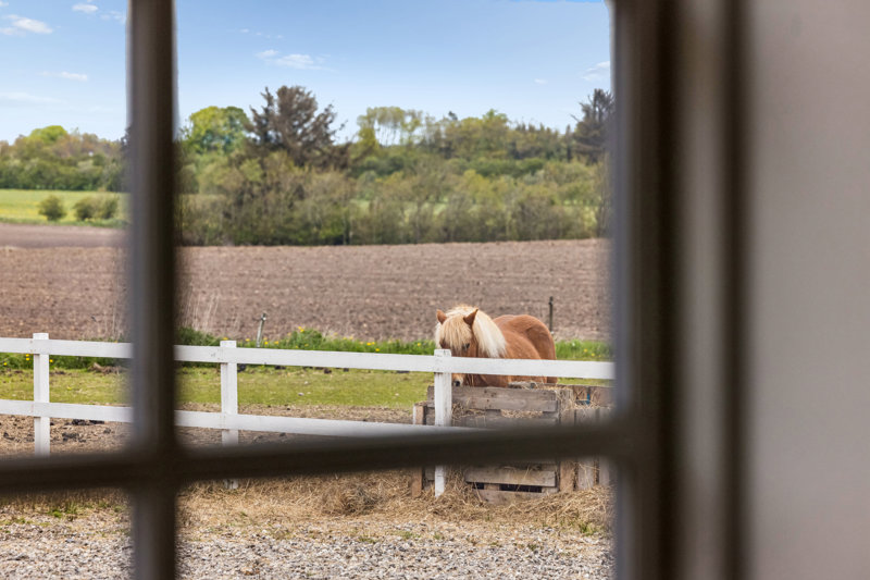 Property image number 7