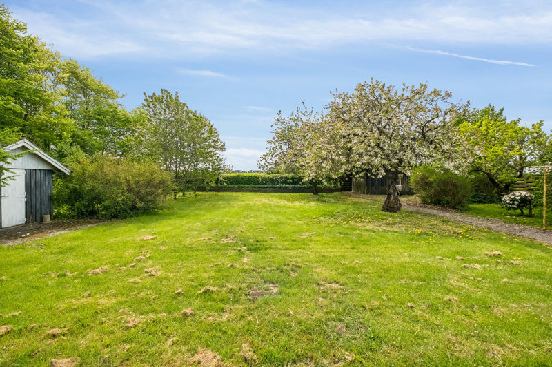 Property image number 5