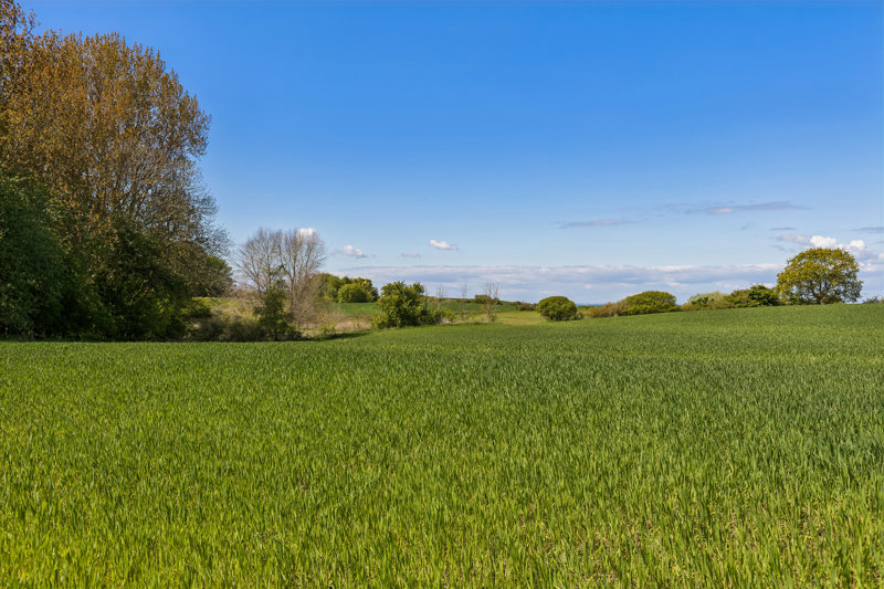 Property image number 6