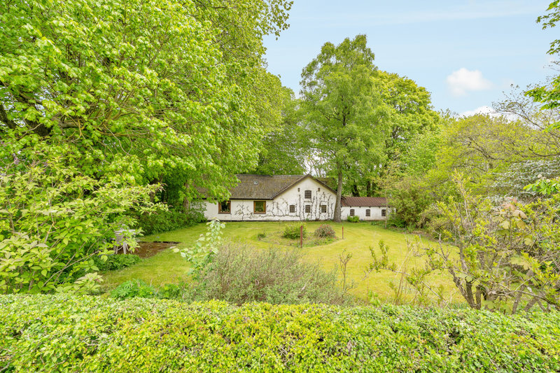 Property image number 3