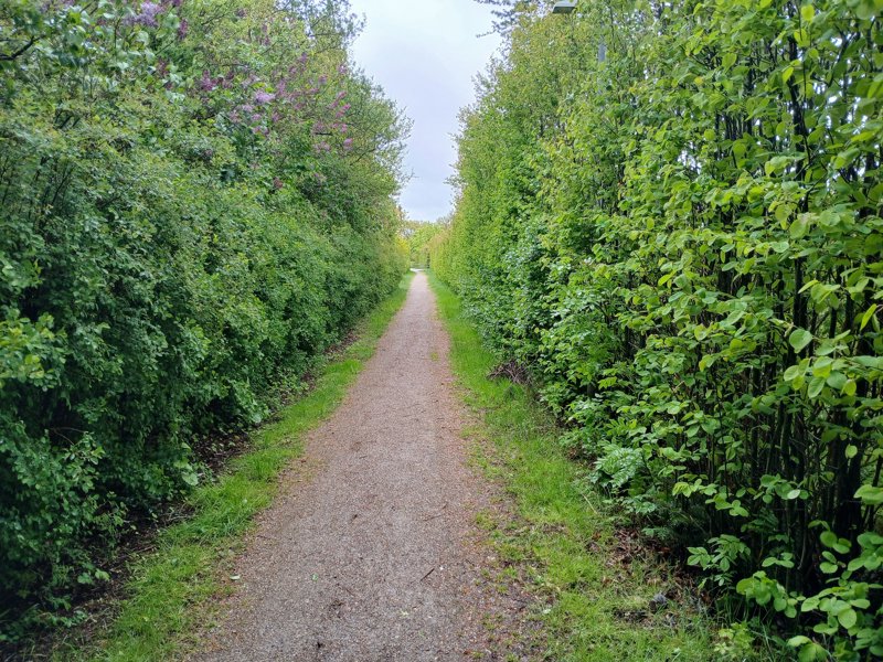 Property image number 3