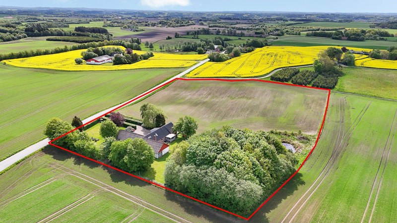 Property image number 3