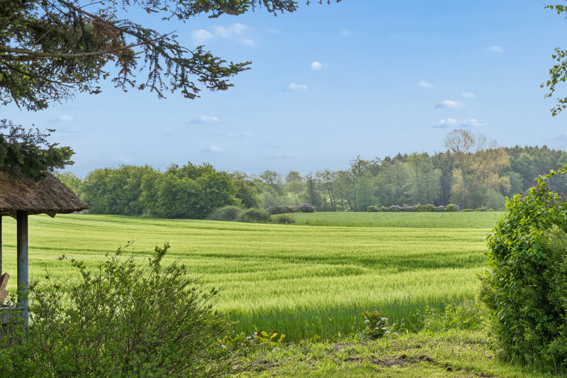 Property image number 6