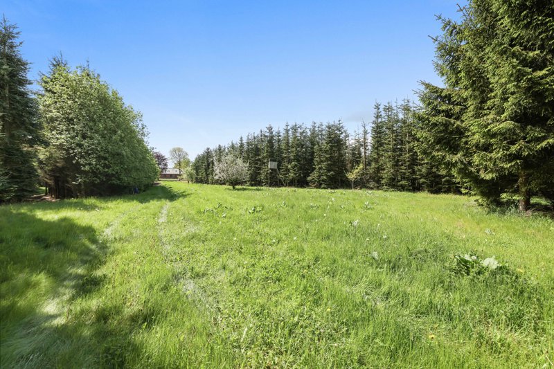 Property image number 4