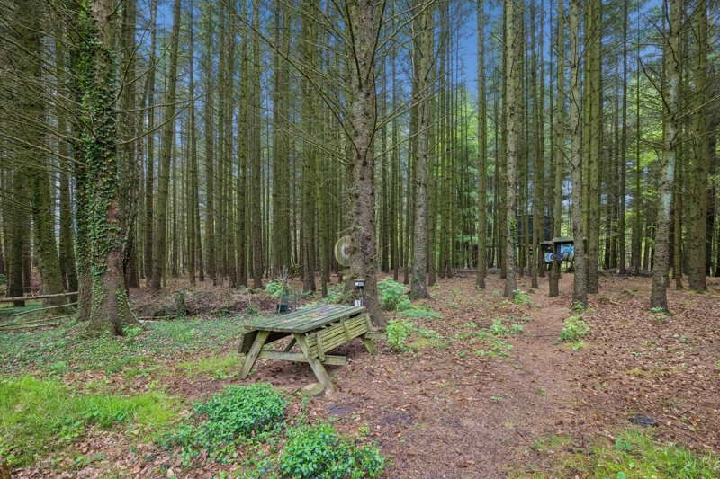 Property image number 3