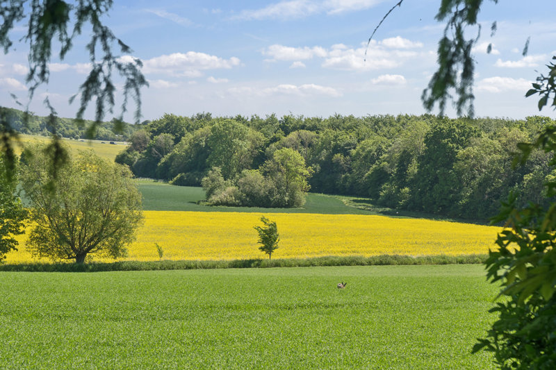 Property image number 2