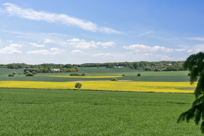 Property image number 3