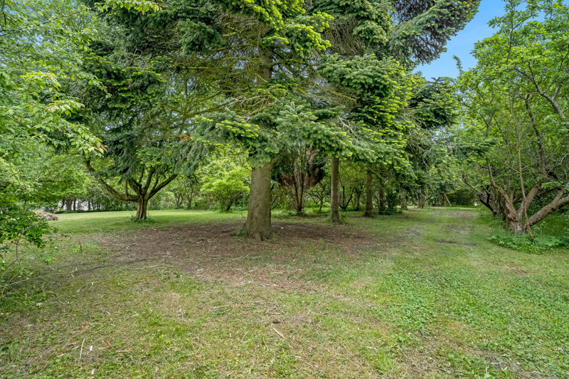 Property image number 6