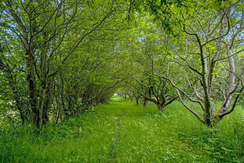 Property image number 5