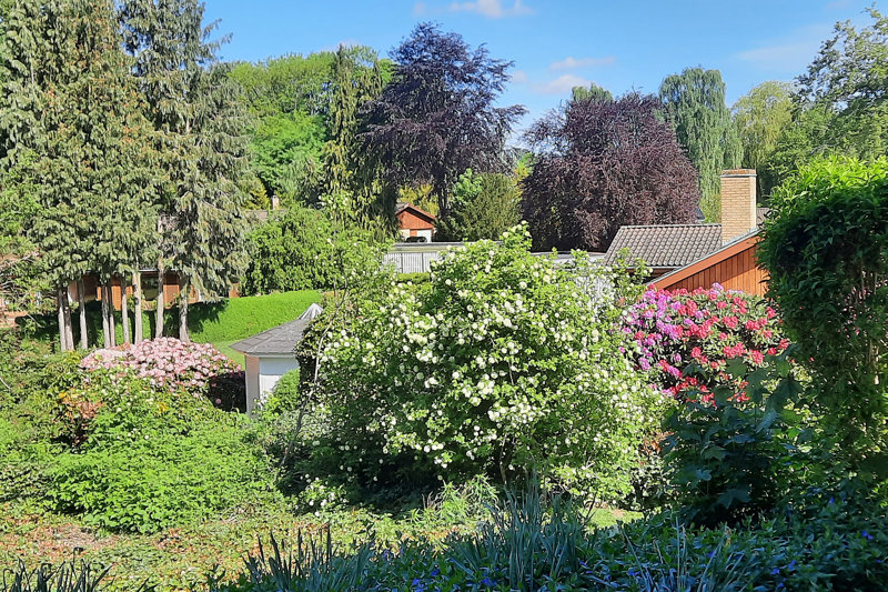 Property image number 3