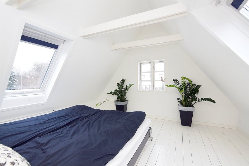 Property image number 6