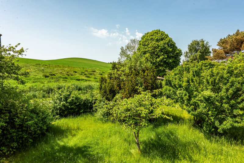 Property image number 4