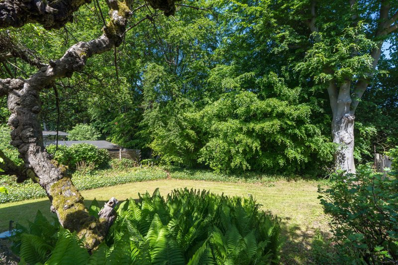 Property image number 3