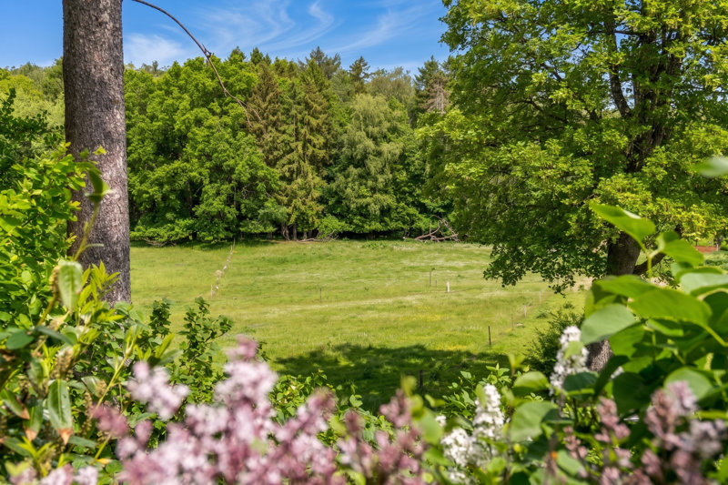 Property image number 7