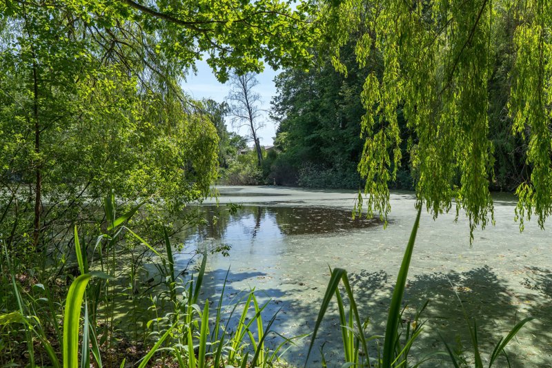 Property image number 2