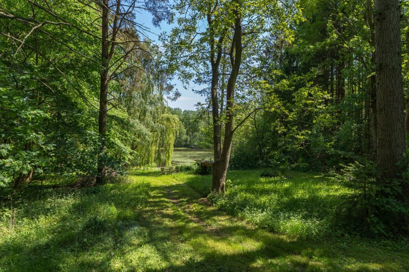 Property image number 4