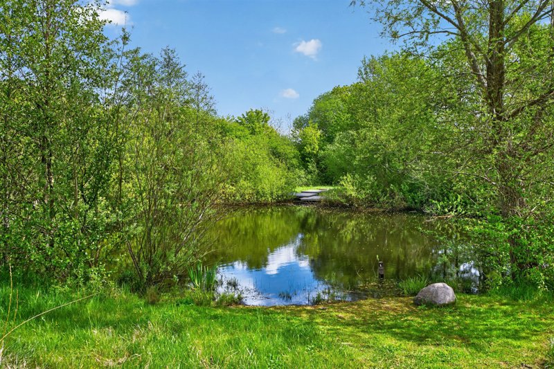 Property image number 7