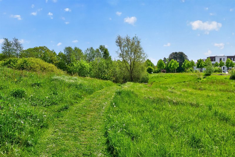 Property image number 8