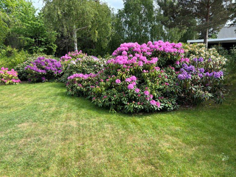 Property image number 6